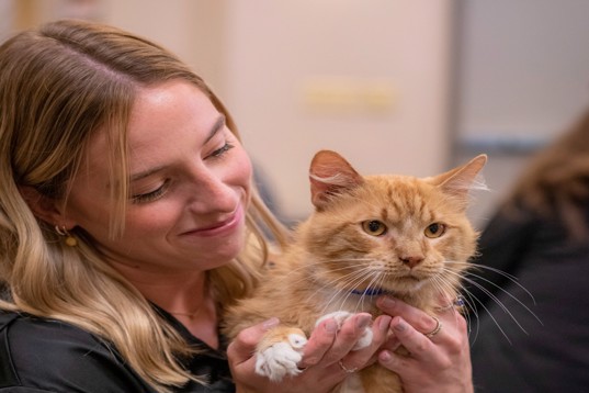 A Marcel Digital volunteer cuddles with an orange cat named Sherbert.