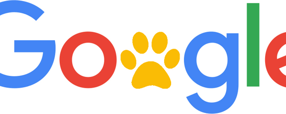 Google Panda 4